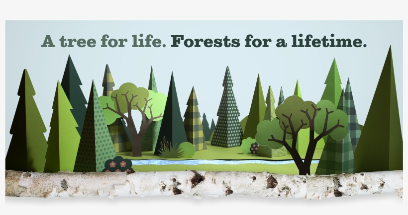 Michigan's Forest Resources - Christmas Tree, transparent png #6008274