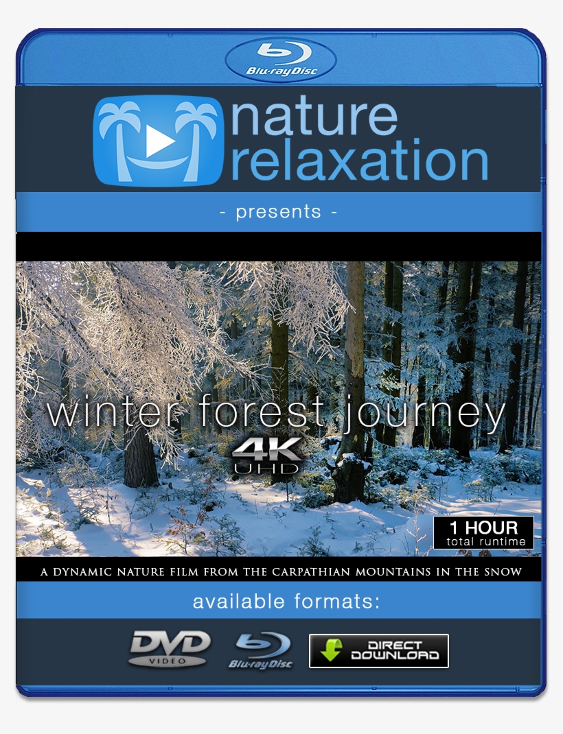 "winter Forest Journey" 4k Dynamic 1-hour Nature Relaxation - 4k Resolution, transparent png #6008527