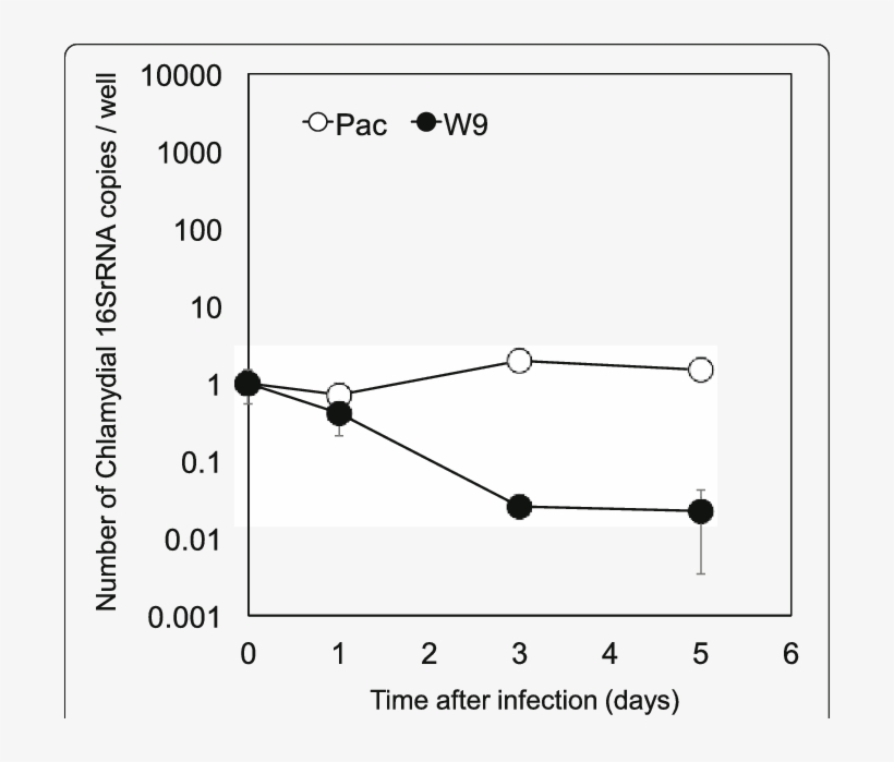 Growth Of Protochlamydia W 9 And Parachlamydia Bn 9, transparent png #6009070