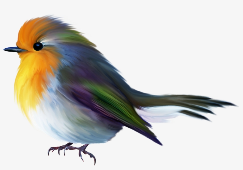 Ch - B *✿*, transparent png #6009073