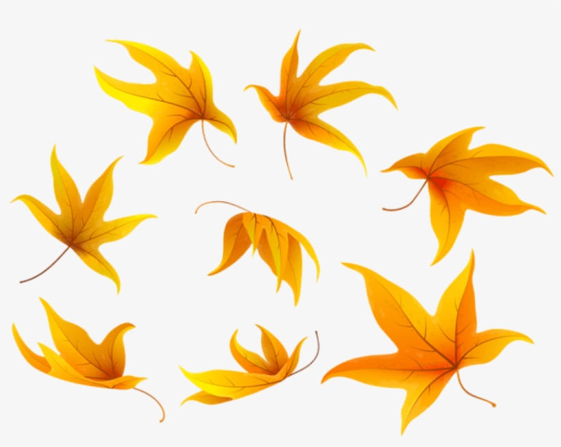 Fall Leaves Png - Portable Network Graphics, transparent png #6011701