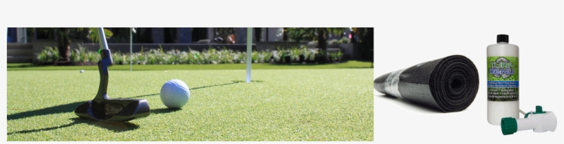 Lawn, transparent png #6013892