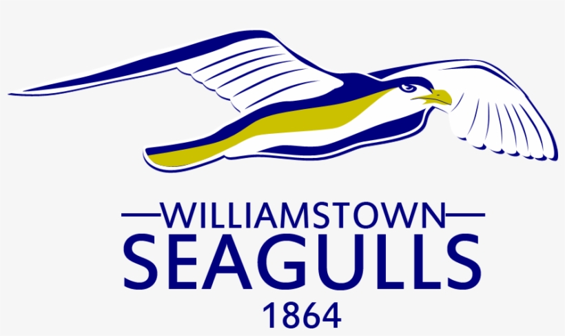 Williamstown Seagulls - Larry Crowne Movie Poster, transparent png #6014021