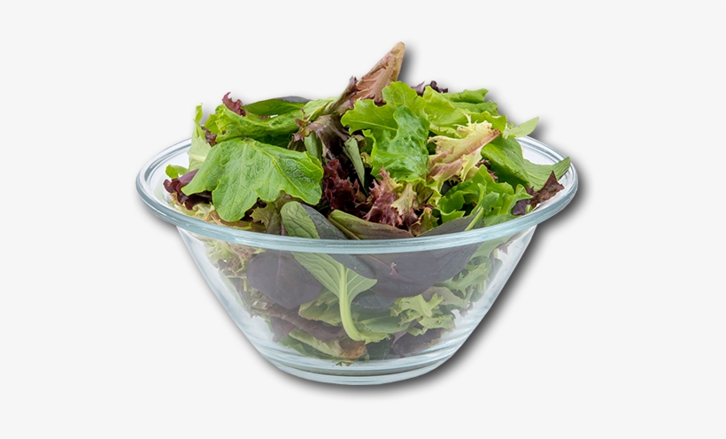 Australia Mesclun Mix Salad - Salad, transparent png #6014137