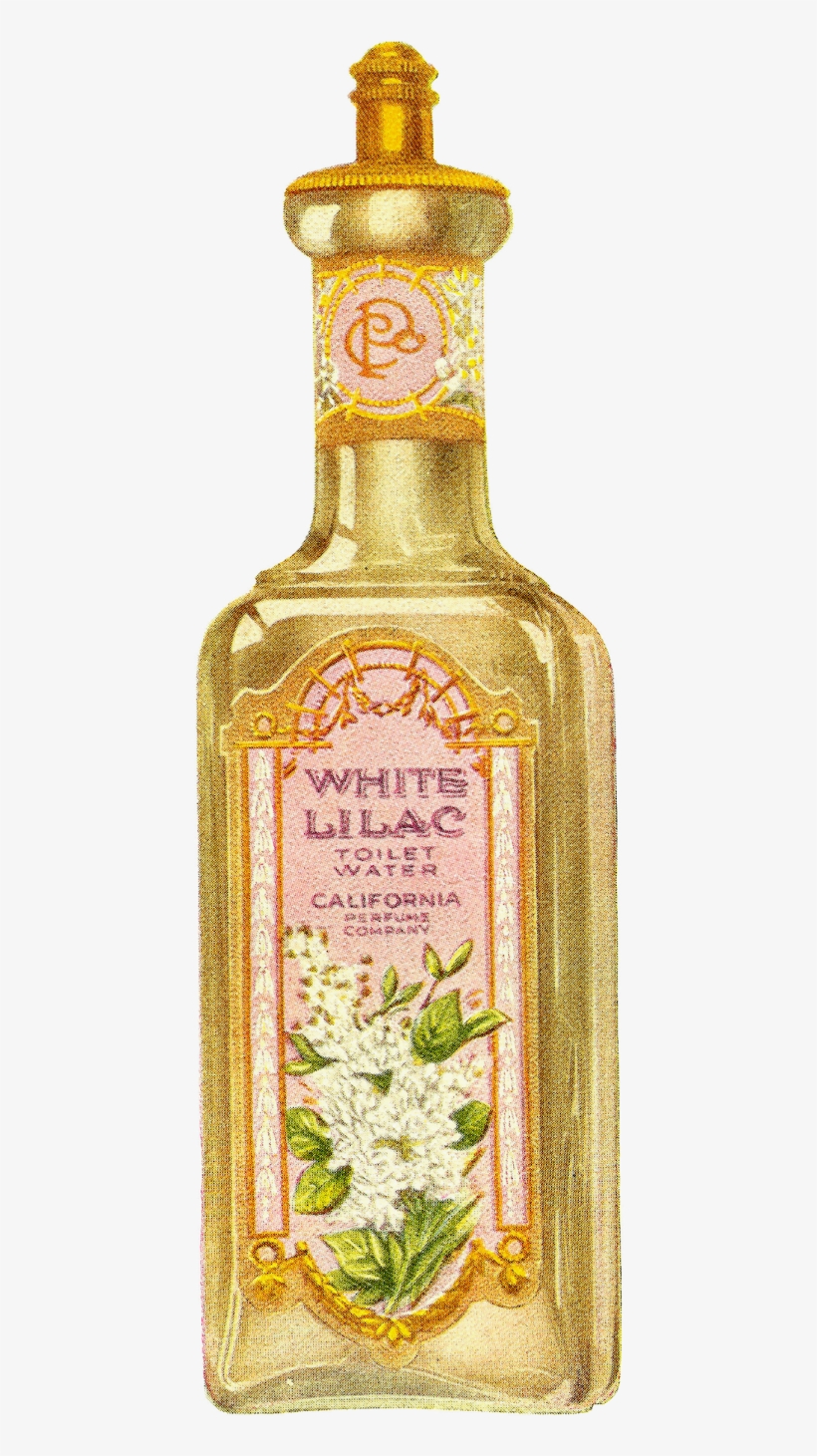 Digital Perfume Bottle Download - Bottle, transparent png #6014503