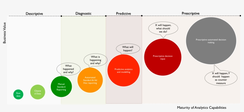 A Number Of Phases Can Be Identified In The Maturity - Diagram, transparent png #6014965