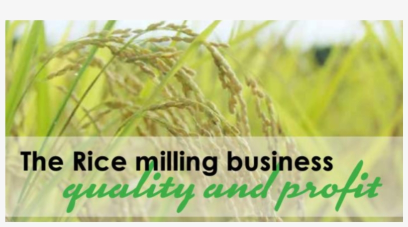 Hp Premier Business Partner, transparent png #6015132