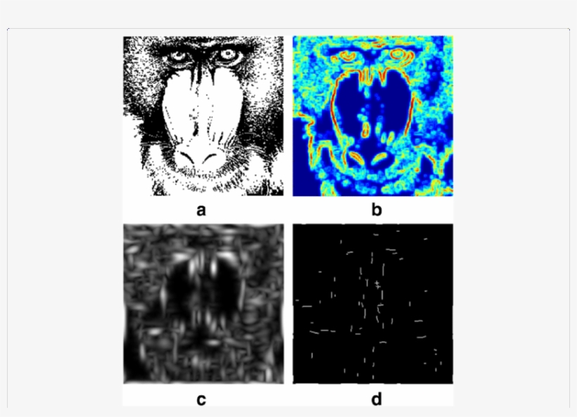 Contour Extraction Result - Energy, transparent png #6015285