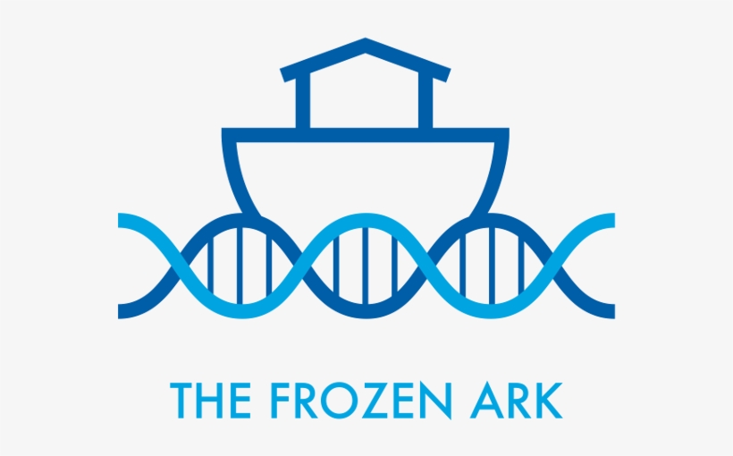 Donate Contact Us Login - Regent Park Focus Youth Media Arts Centre, transparent png #6015501