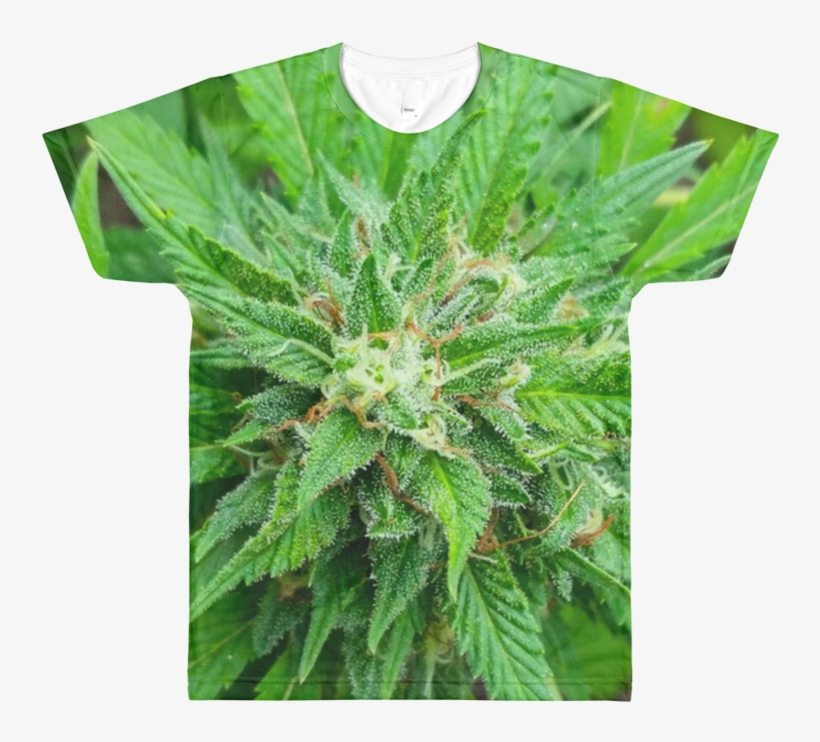 Image Of Jaimaca Weed Pillow / Mug / All Over Shirt - Cannabis, transparent png #6015587