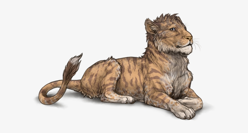 3hwgizb " - Png Female Lion Hd, transparent png #6017228