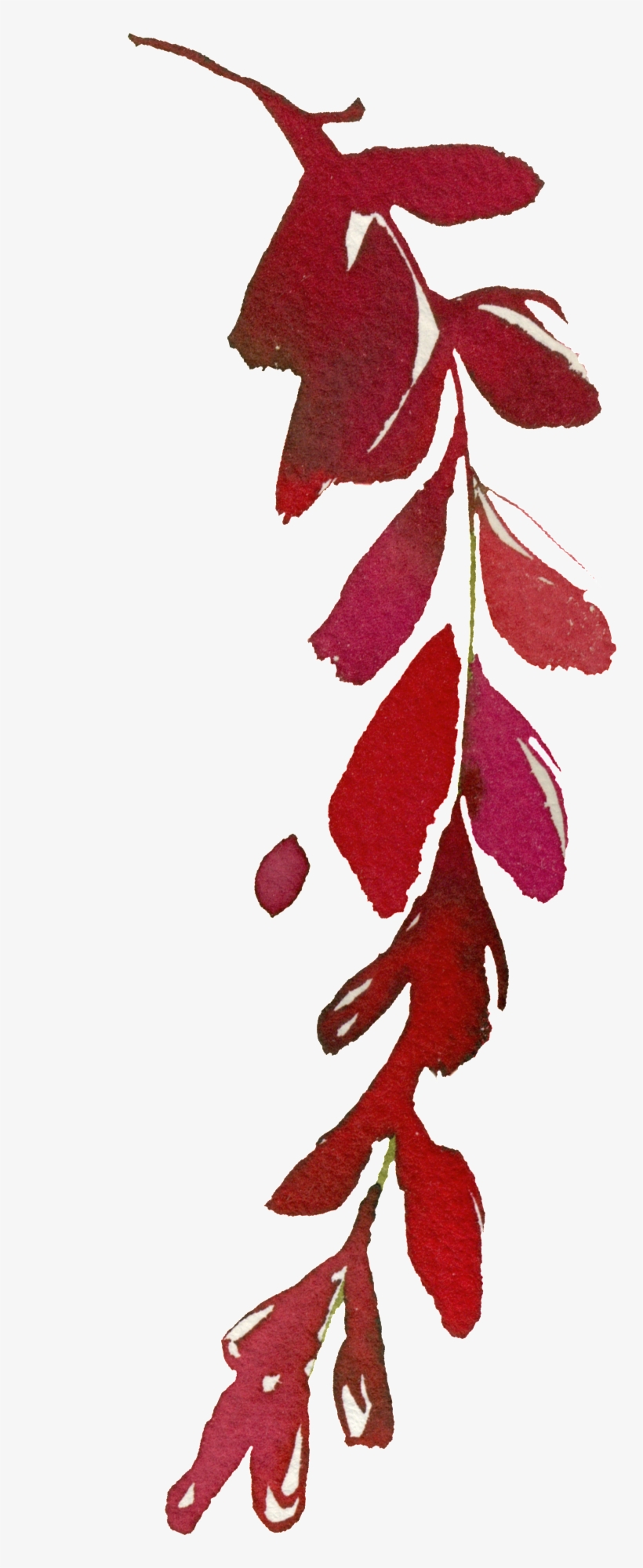 Este Gráficos É Hand Painted Bright Red Leaves Png - Red, transparent png #6021313