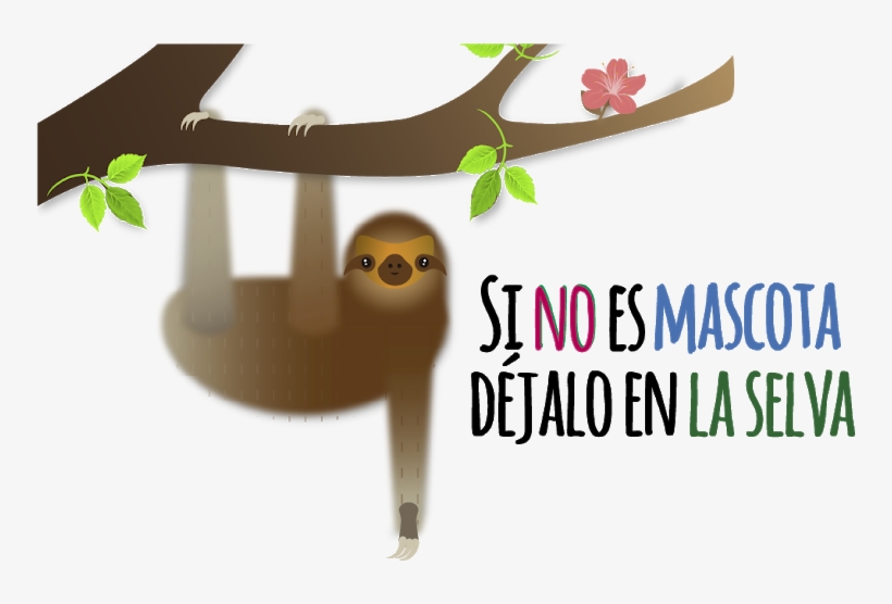 Animales Silvestres - Christmas Tree, transparent png #6022978