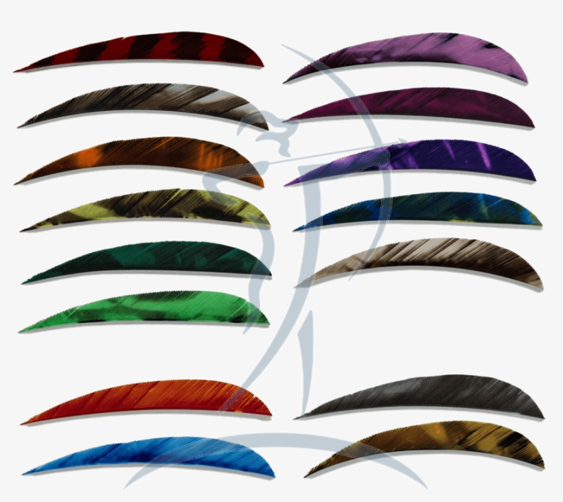 Ozark Feathers 4" Rw - Crossbow, transparent png #6023279