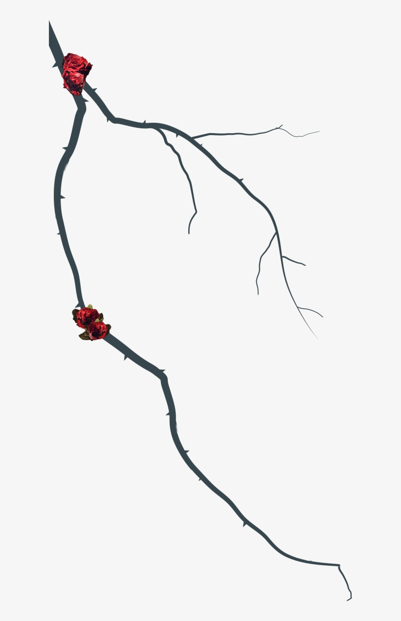 Slick Woods, transparent png #6023368