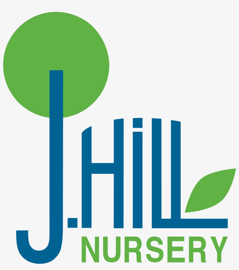 J - Hill Nursery - Perennial Plant, transparent png #6023633