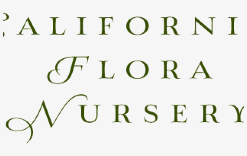California Flora Nursery, Fulton, Ca - California Flora Nursery, transparent png #6023778