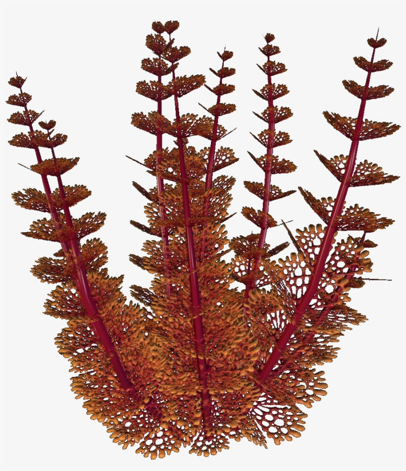 Redwort - Wiki, transparent png #6023927