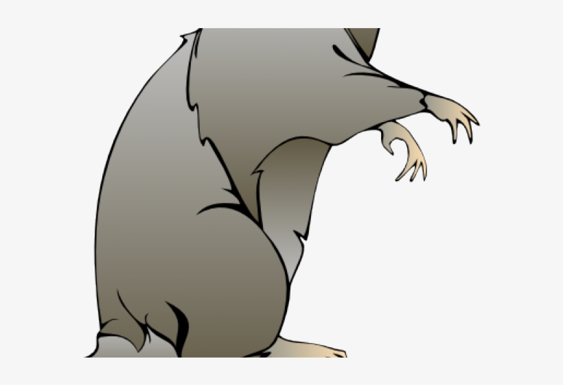 Cartoon Rat Pictures - Rat Clip Art, transparent png #6025816