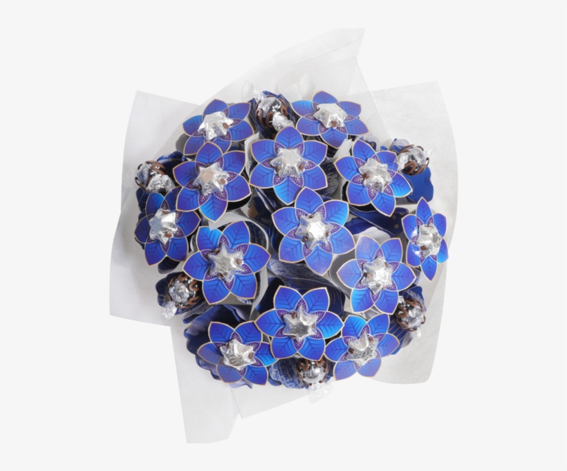 Hydrangea, transparent png #6026130