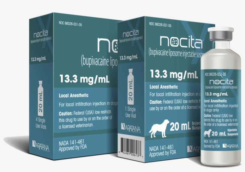 Nocita Dogs, transparent png #6026246