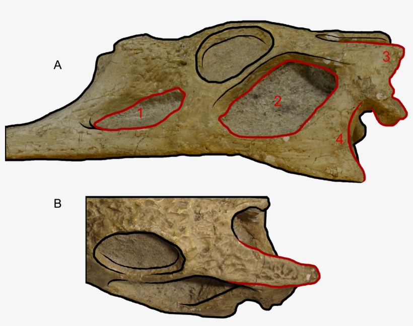 Download - Rock, transparent png #6030617
