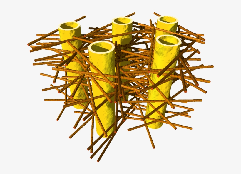 Illustration Of The Complex Biostructure Of Dentin, transparent png #6031203