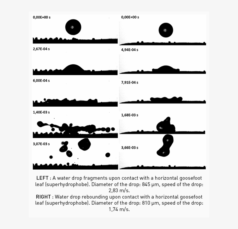 Waterdrop Fragment - Parallel, transparent png #6031335