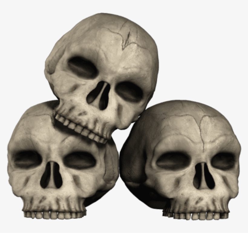 Free Png Transparent Skulls Png Images Transparent - Transparent Skulls, transparent png #6031755