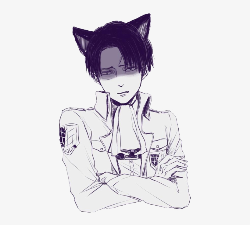 Stardust-artist - Neko Levi X Reader, transparent png #6032949