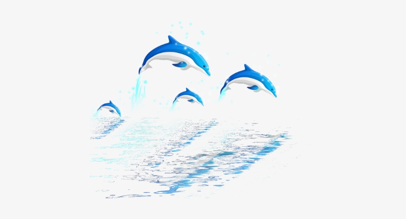 Dolphin, transparent png #6033756