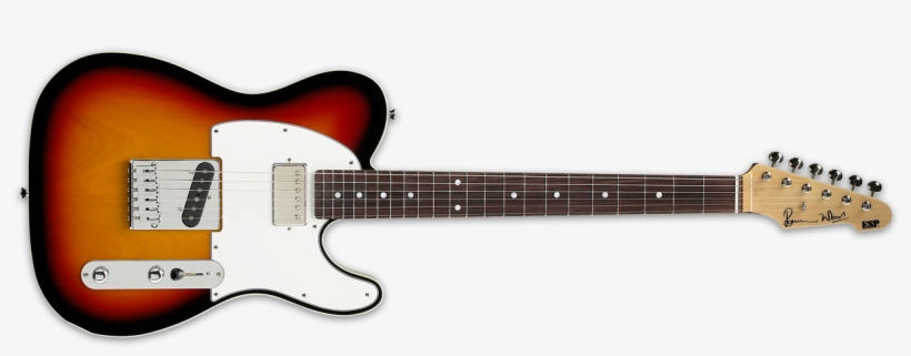 Fender Custom Shop Esquire 1959 Relic, transparent png #6033942