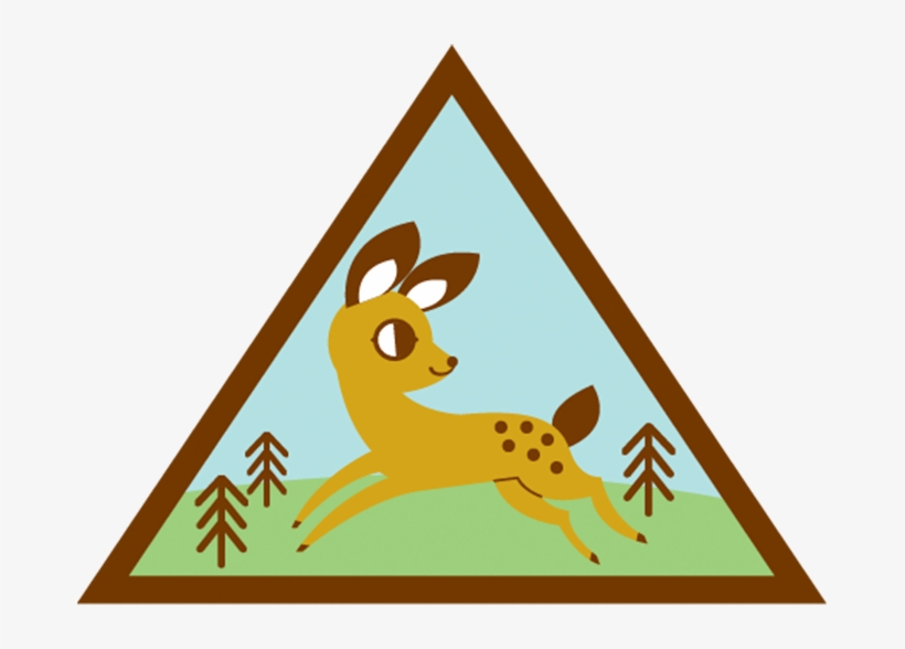 From Astronaut Jan Davis And Award-winning Entertainer - Brownie Eco Friend Badge, transparent png #6034360