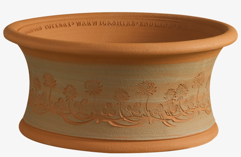 Rhs White Clover Flowerpot, transparent png #6036022