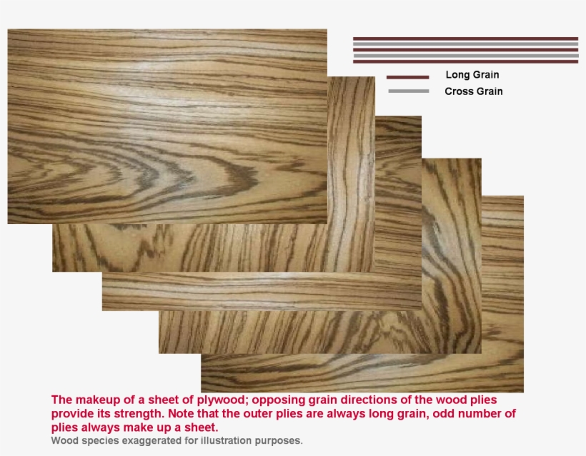 The Outer Plies Are Generally Of A Higher Quality Than - Plywood, transparent png #6036024