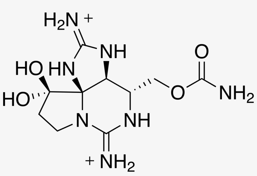 Courtesy Of Wikipedia Commons - 1 2 3 4 Butanetetracarboxylic Acid, transparent png #6038589