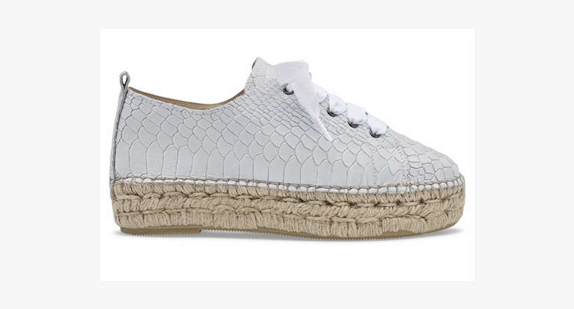 Sneakers, transparent png #6039123