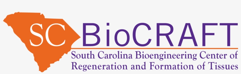 The Clemson University Biomedical Engineering Innovation - Chess Kids, transparent png #6040240
