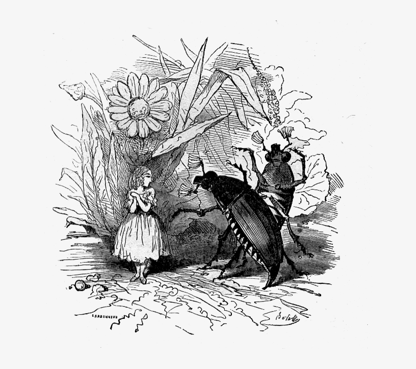 Bertall Ill La Petite Poucette2 - Hans Christian Andersens Märchen Für Kinder [book], transparent png #6041005