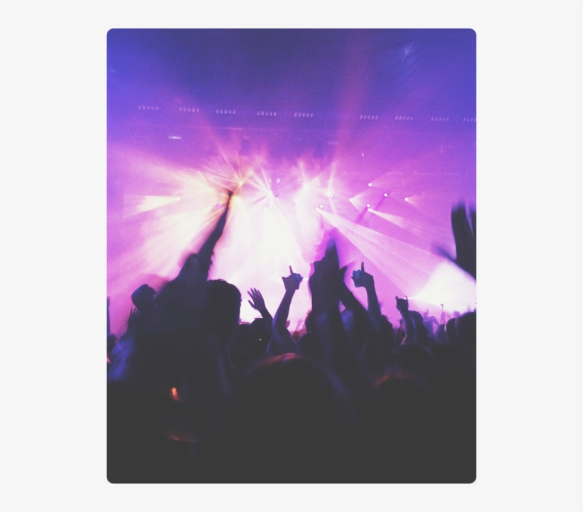 Alternate Text - Electro House Anthems Vol 9 - Various - Download, transparent png #6043803