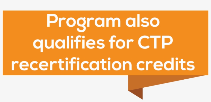 Individuals Who May Be New To The Treasury Management - Donald Trump, transparent png #6044579