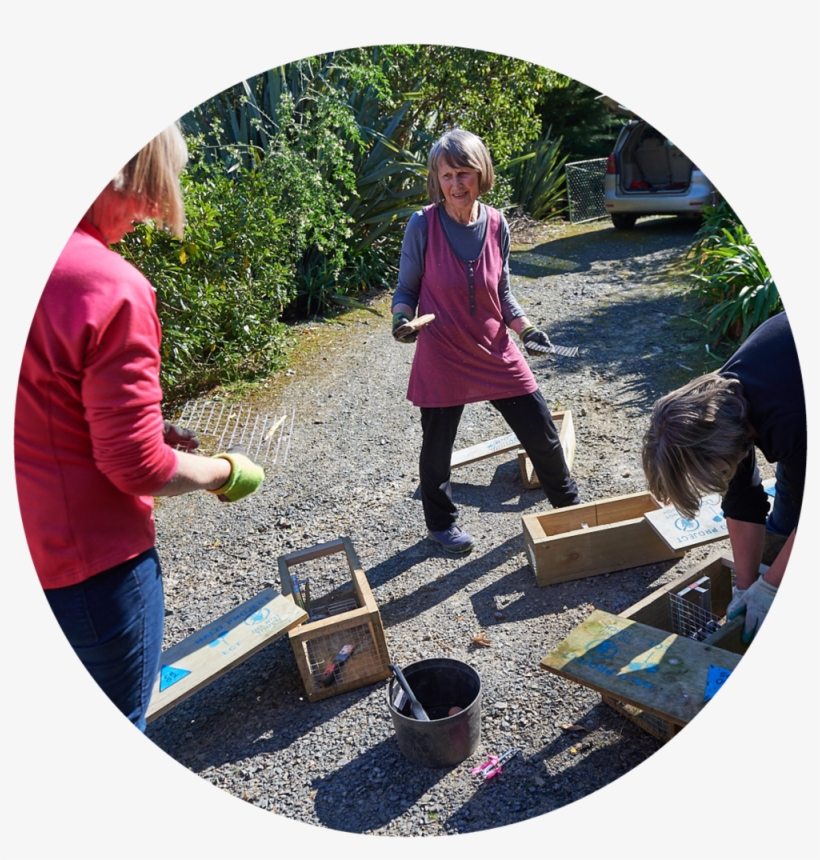 Circles For Predator Free Action3, transparent png #6045274