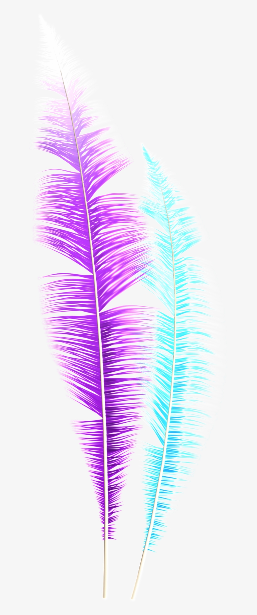 Dream Feather Png - Grass, transparent png #6046123