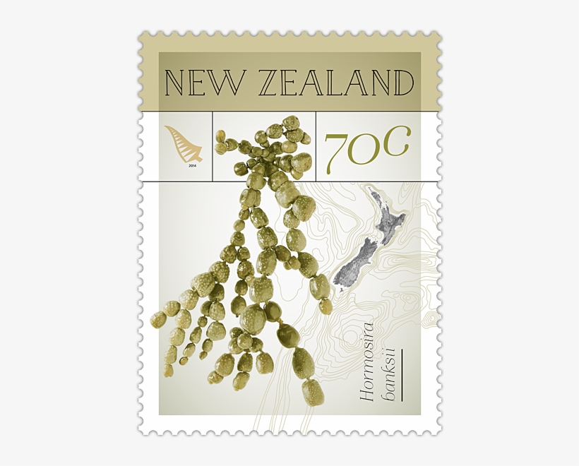 Single Stamp - Seaweed On Postage Stamps, transparent png #6046125