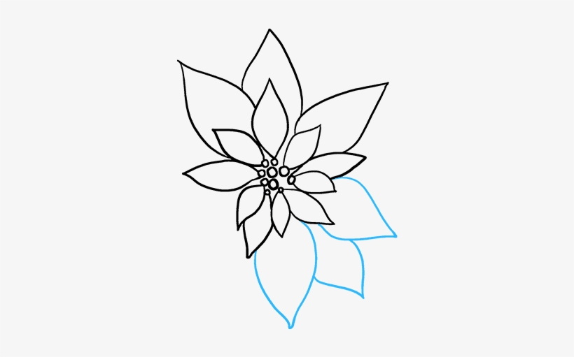 How To Draw Poinsettia, transparent png #6046250