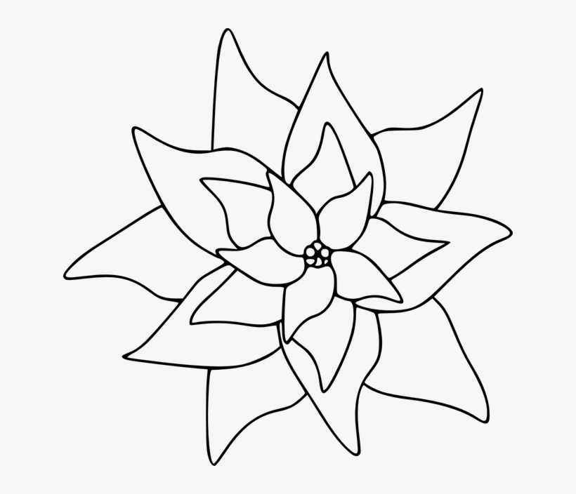 Clip Art Poinsettia Printable - Clip Art Poinsettia, transparent png #6046300