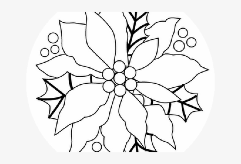 Poinsettia Clipart Black And White Free Transparent PNG Download PNGkey