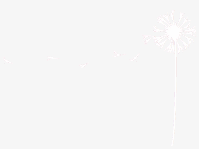 Dandelion - Portfolio, transparent png #6047529