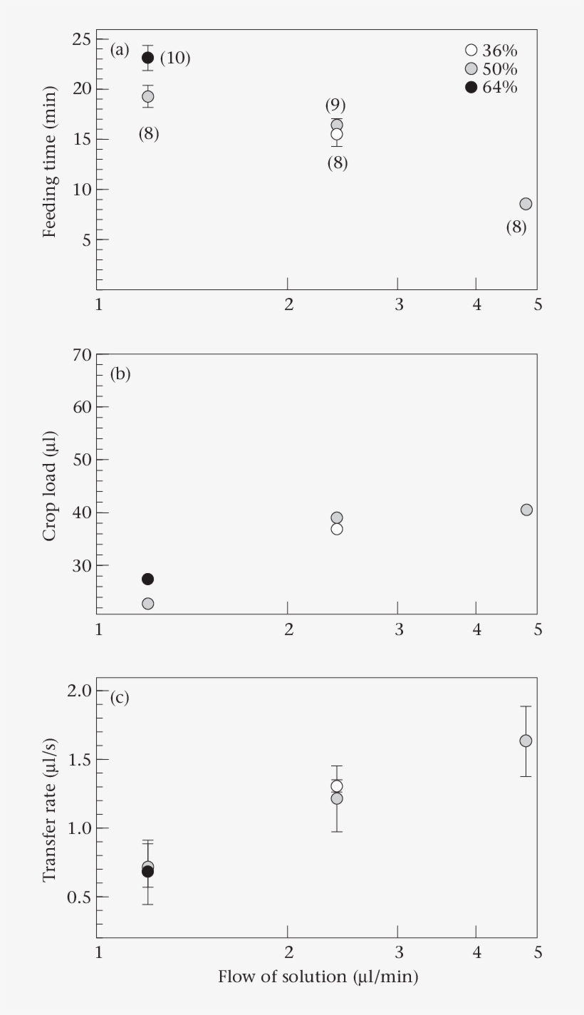 Number Of Considered Bees In Parenthesis - Number, transparent png #6050298