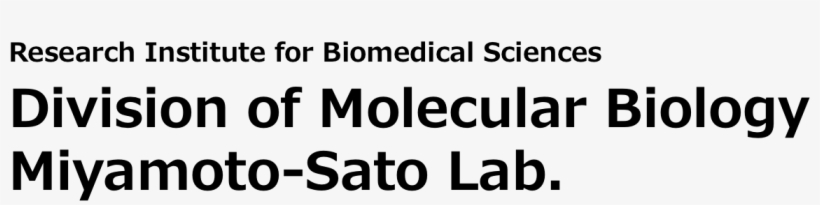 Lab Logo - Iscte Iul Business School, transparent png #6050952